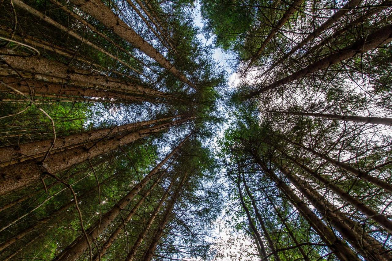 Heimat - Das Natur Resort Prägraten Exteriör bild